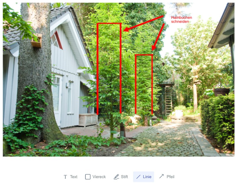 Bildmarkierung mit Pfeilen und Text